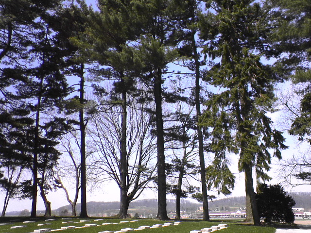 DSC00258.JPG