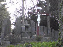 DSC00271.JPG