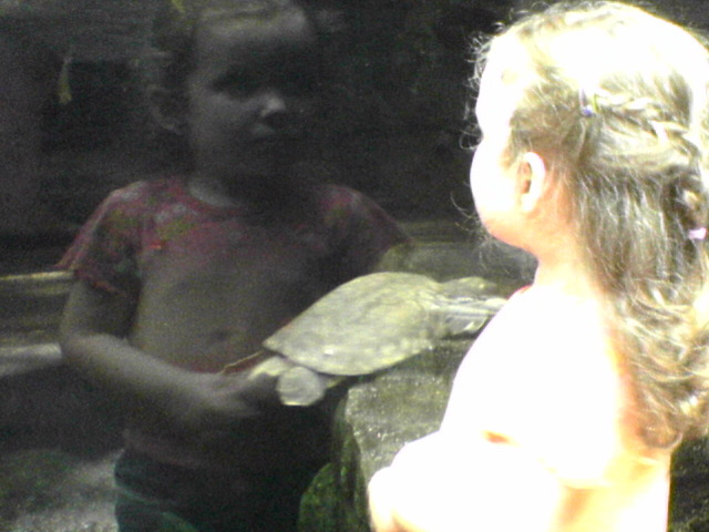 DSC03226