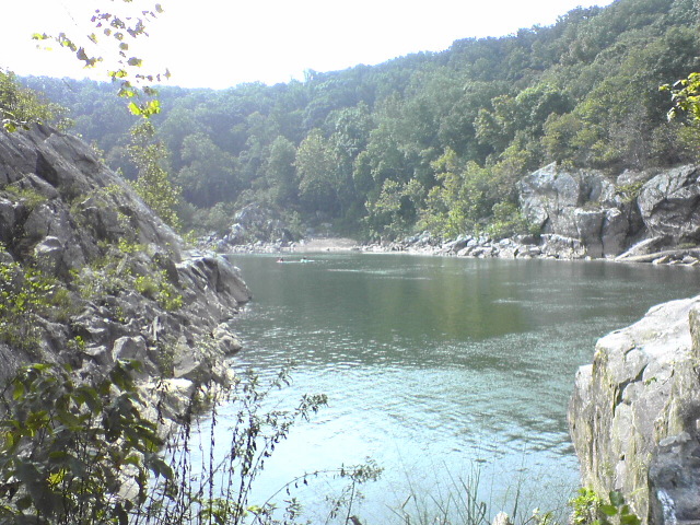 DSC03254
