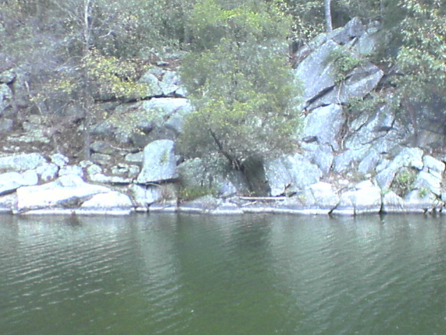 DSC03261