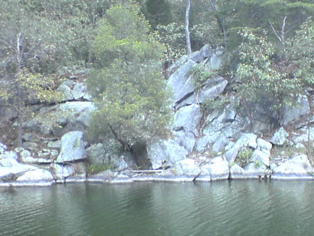DSC03262
