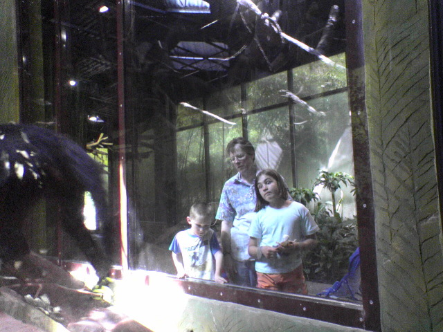 Who's watching whom?