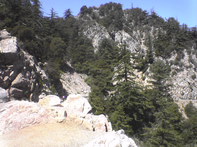 DSC00861_1