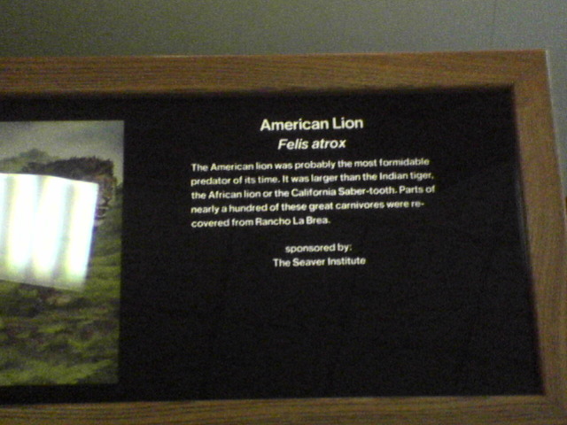 DSC00822.JPG