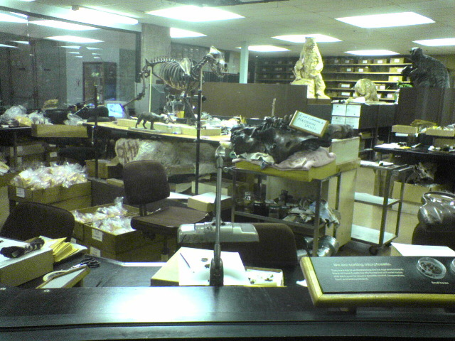 DSC00823.JPG