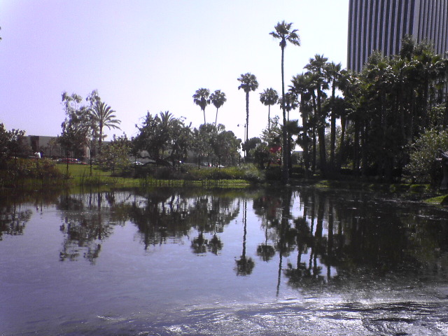 DSC00826.JPG