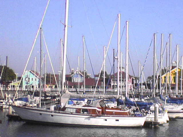 DSC00809.JPG