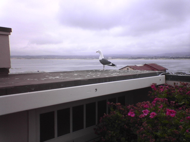DSC00930_1