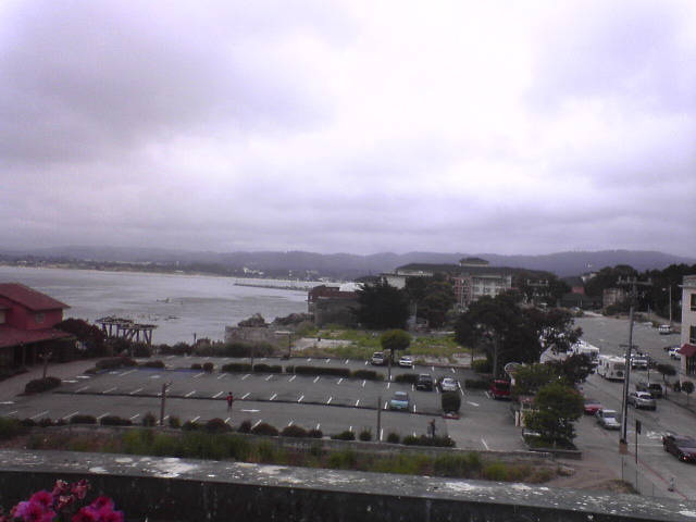 DSC00931_1