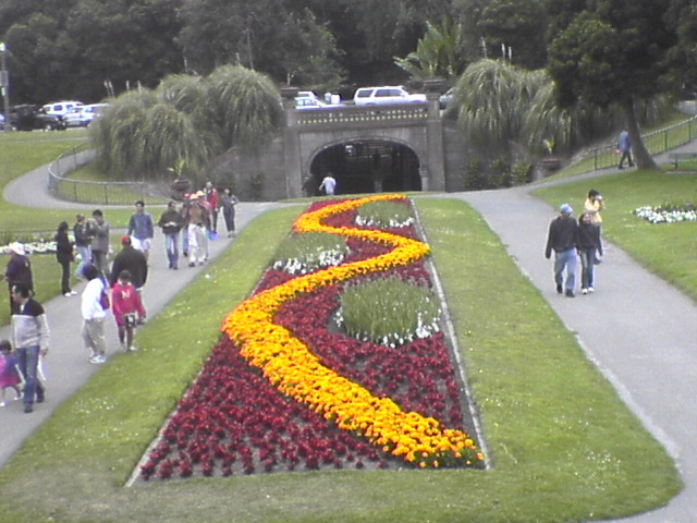 DSC01124