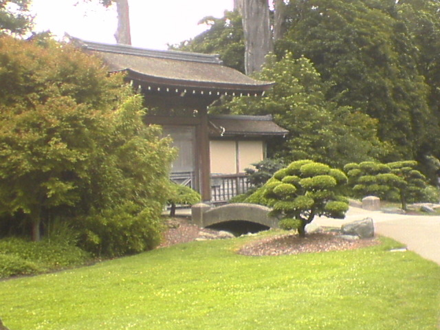 DSC01130