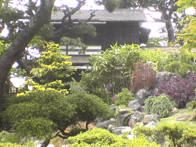 DSC01131