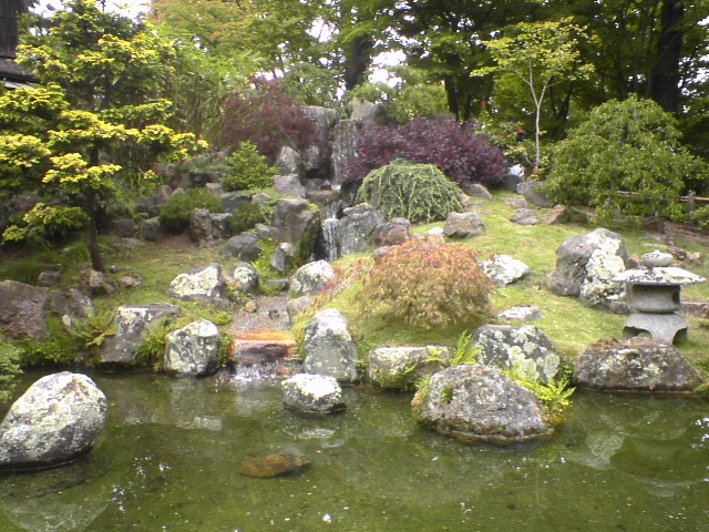 DSC01132