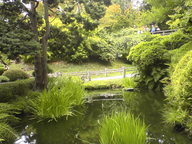 DSC01135