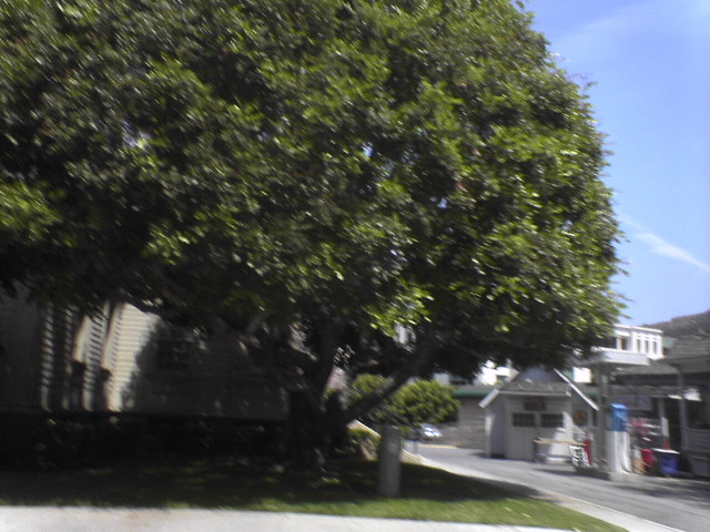 DSC00873_1
