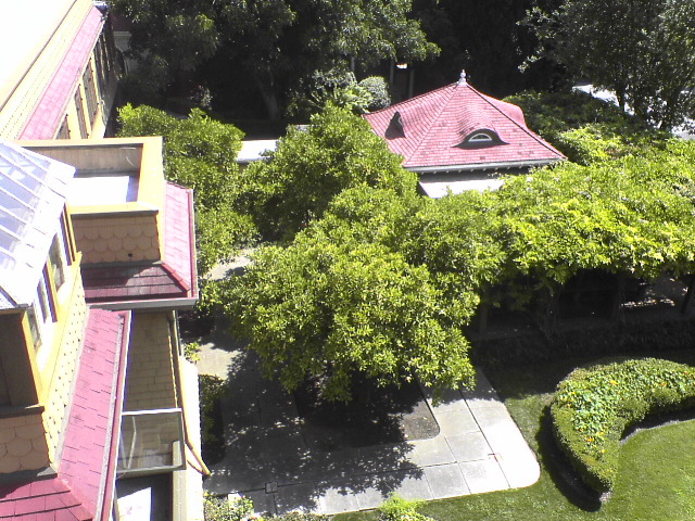 DSC00968