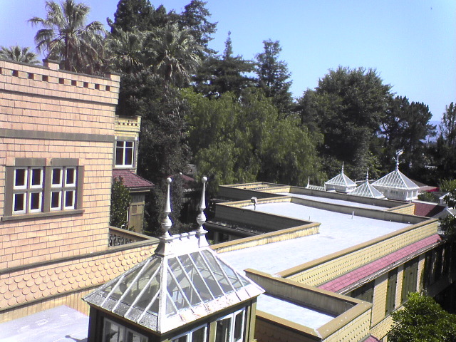 DSC00969