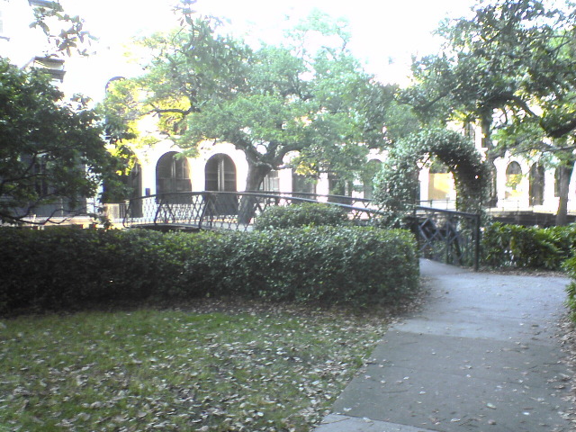 DSC01960.JPG