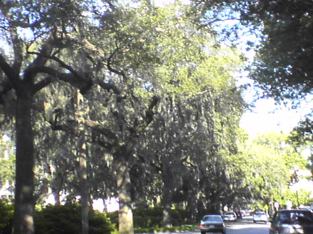 DSC01948.JPG