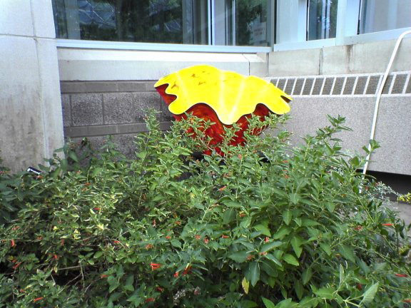 glass-garden43