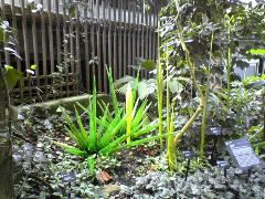 glass-garden28