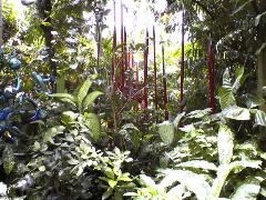 glass-garden5