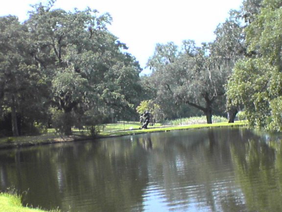 BrookfieldGardens12
