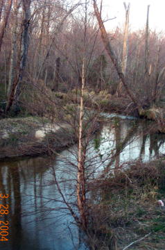 The Stream
